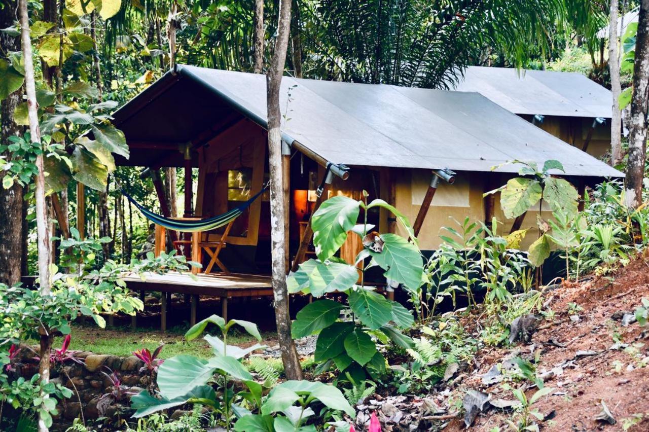 El Pulpo Safari Lodge Охочаль Экстерьер фото