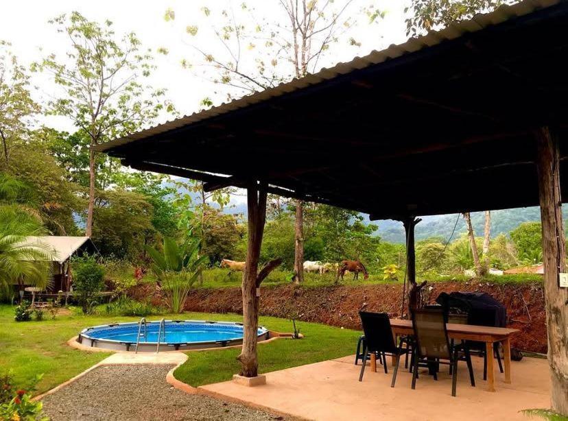 El Pulpo Safari Lodge Охочаль Экстерьер фото